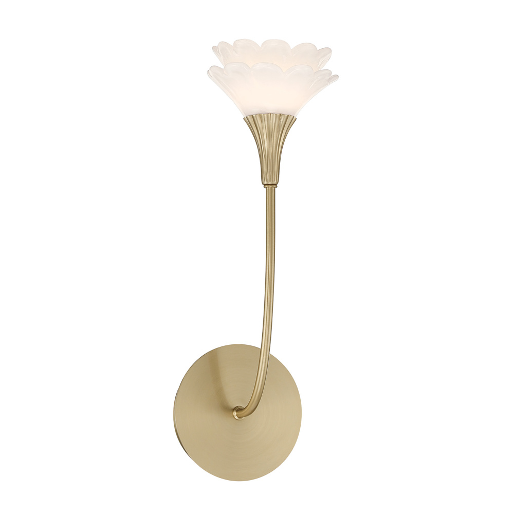 Florena 1-Light Wall Sconce in Noble Brass by Breegan Jane