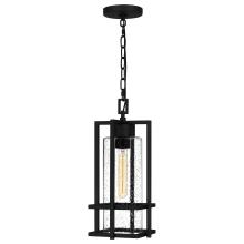 Quoizel DMN1907EK - Damien 1-Light Earth Black Outdoor Hanging Lantern