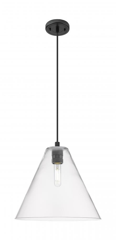 Crown Point - 1 Light - 12 inch - Matte Black - Pendant