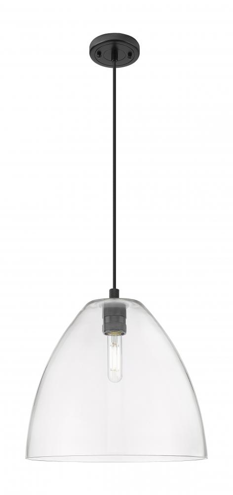 Crown Point - 1 Light - 12 inch - Matte Black - Pendant