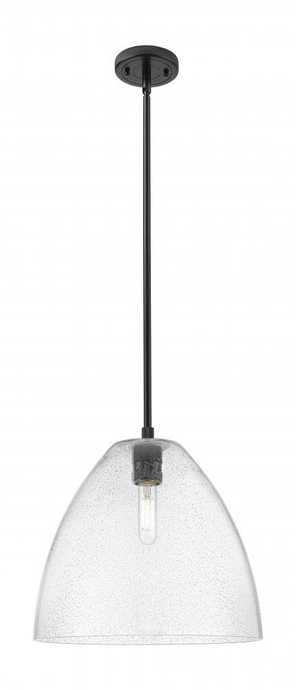 Crown Point - 1 Light - 12 inch - Matte Black - Pendant