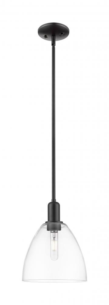 Bristol - 1 Light - 9 inch - Matte Black - Stem hung - Mini Pendant