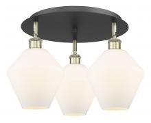 Innovations Lighting 516-3C-BAB-G651-8 - Cindyrella - 3 Light - 20 inch - Black Antique Brass - Semi-Flush Mount