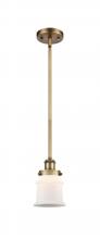 Innovations Lighting 916-1S-BB-G181S - Canton - 1 Light - 6 inch - Brushed Brass - Mini Pendant