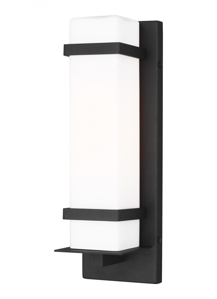 Alban Small One Light Outdoor Wall Lantern