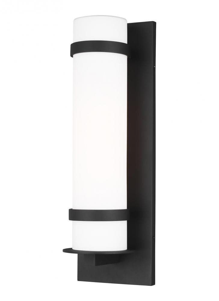Alban Large One Light Outdoor Wall Lantern