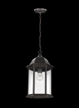 Generation Lighting 6238701-71 - Sevier One Light Outdoor Pendant