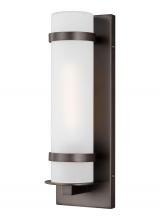Generation Lighting 8518301-71 - Alban Small One Light Outdoor Wall Lantern