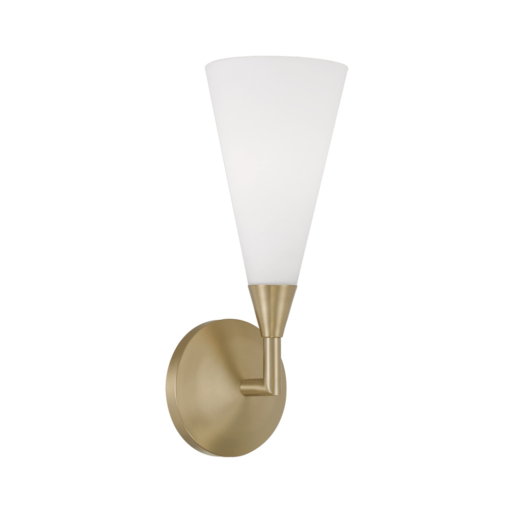 1 Light Sconce