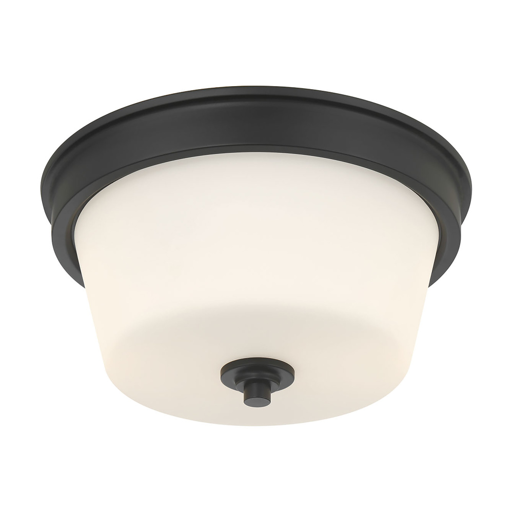 Strayhan 13" Wide 2-Light Flush Mount