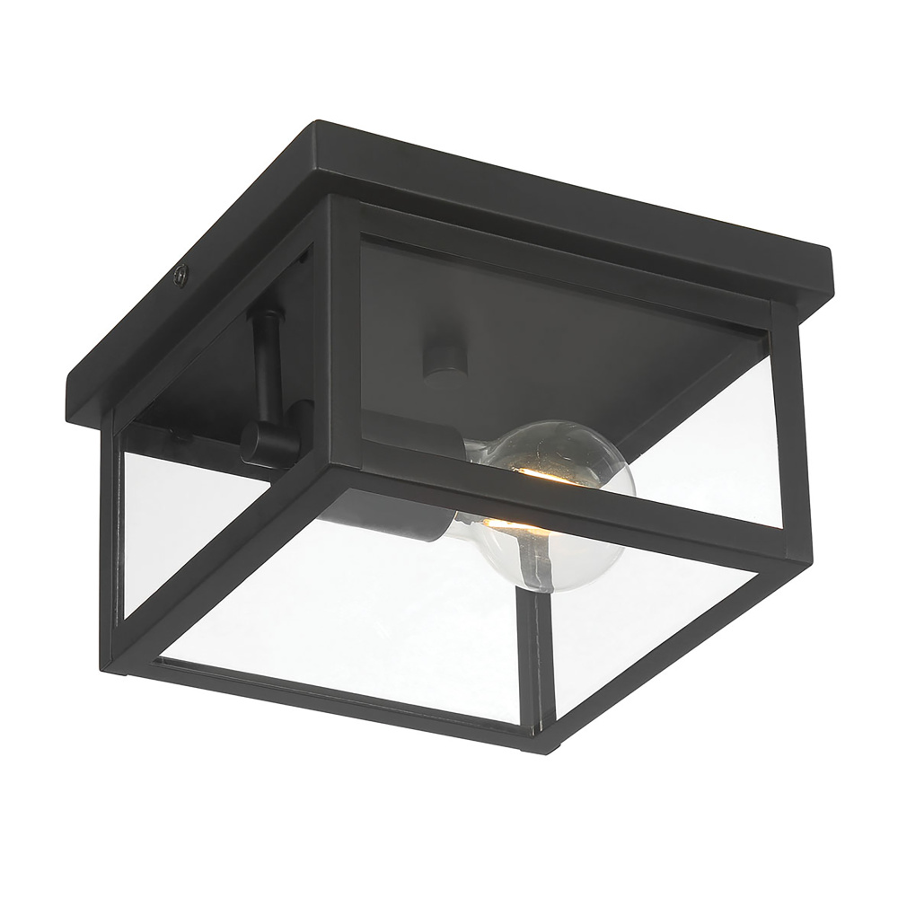 Evanton 8" Wide 1-Light Outdoor Flush Mount