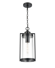 Millennium 192401-PBK - Braselton 8" Wide 1-Light Outdoor Hanging Lantern - Powder Coated Black