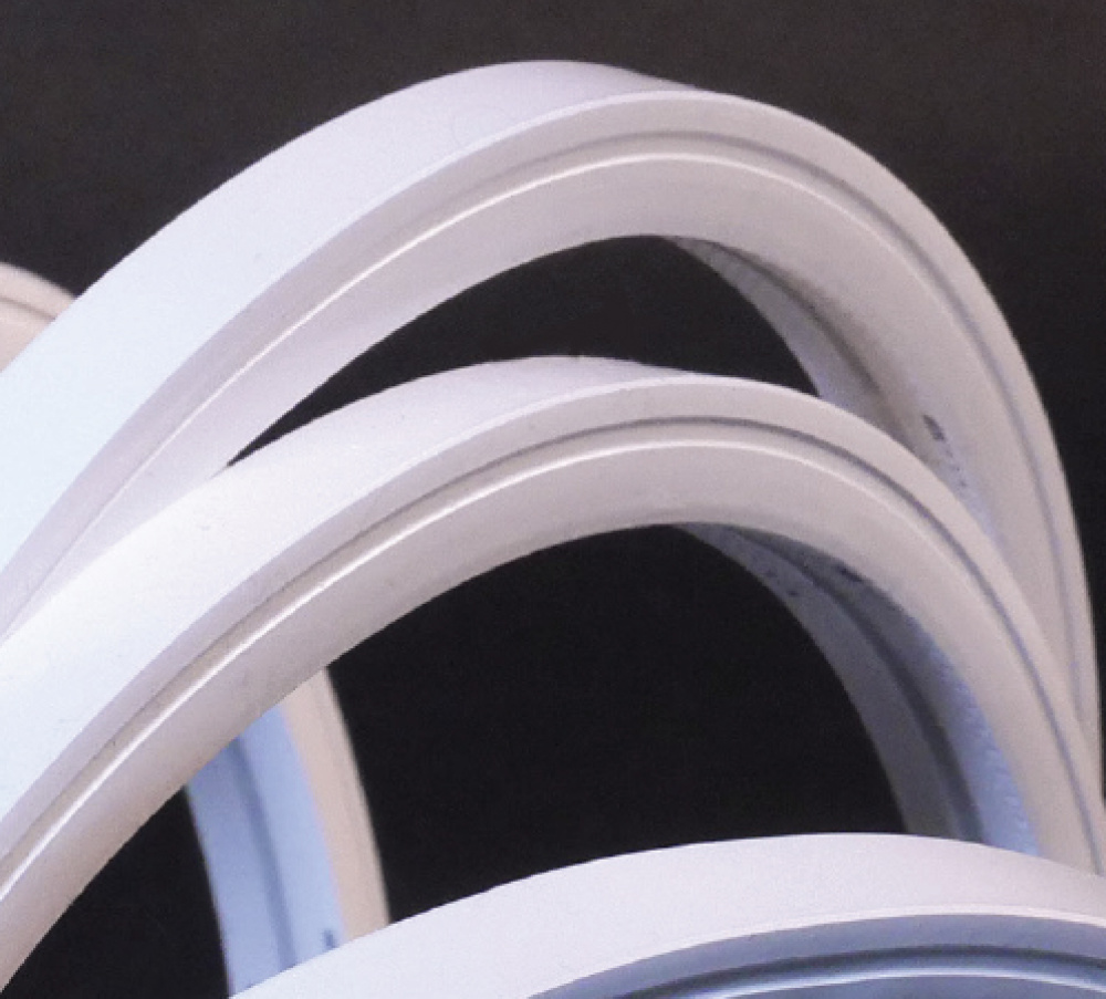 NeoVision24 RGBW 24VDC 3.0W TopFlex LED Tape