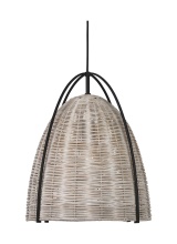 Visual Comfort & Co. Studio Collection GLP1071MBK-ASW - Norman Large Pendant