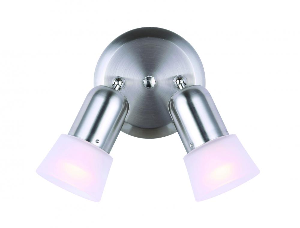 Omni 2 Light Ceiling Light, Brushed Pewter Finish