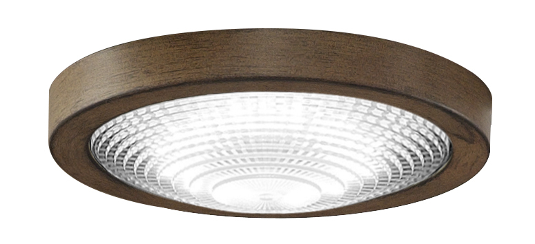 Spitfire Ceiling Fan LED Light Kit - Driftwood