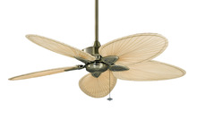 Fanimation FP7500AB - Windpointe 52 inch Indoor Ceiling Fan - Antique Brass with Natural Narrow Oval blades
